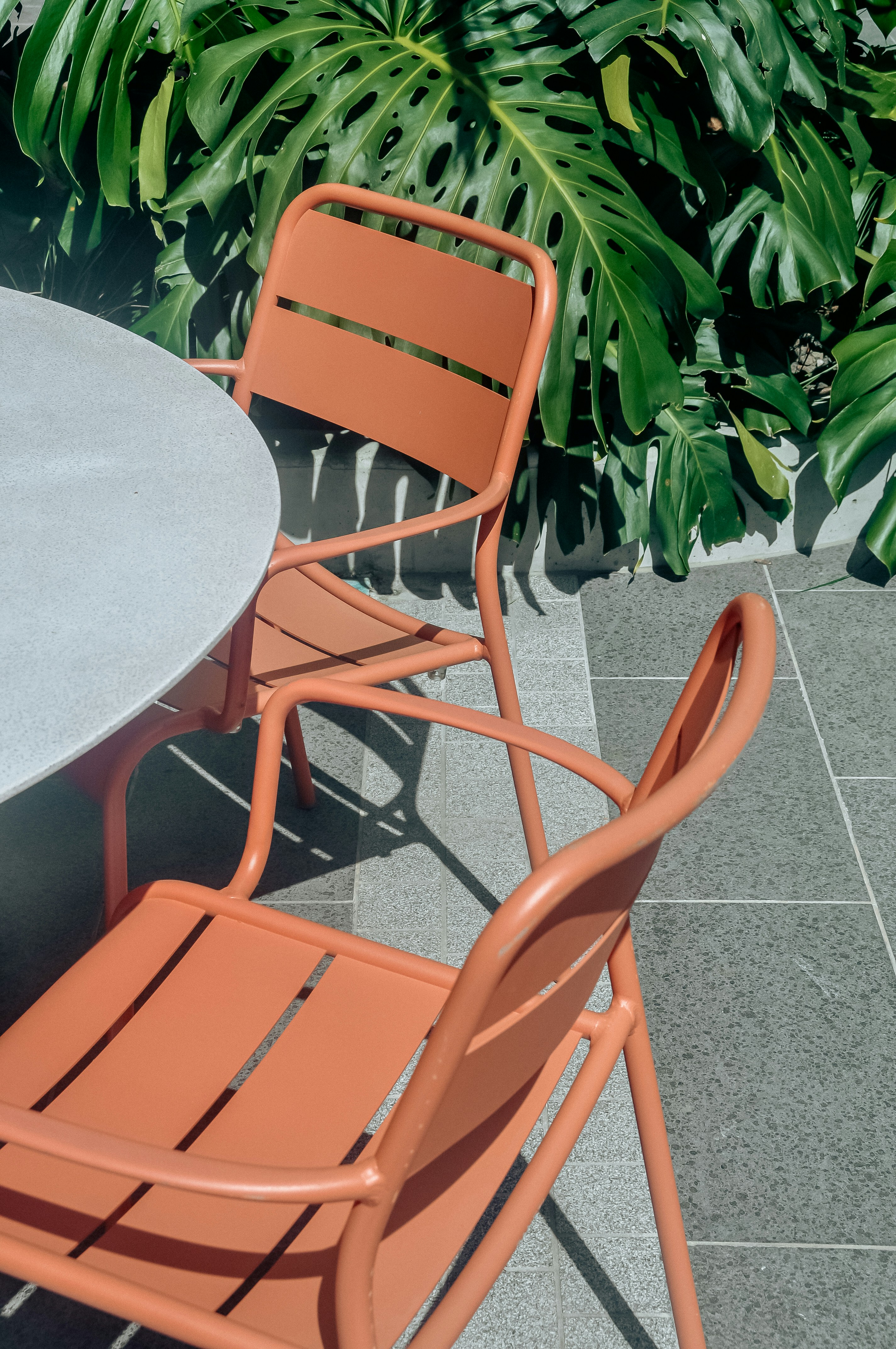Recovery and stretch area at ATLAS surrounded by living plants