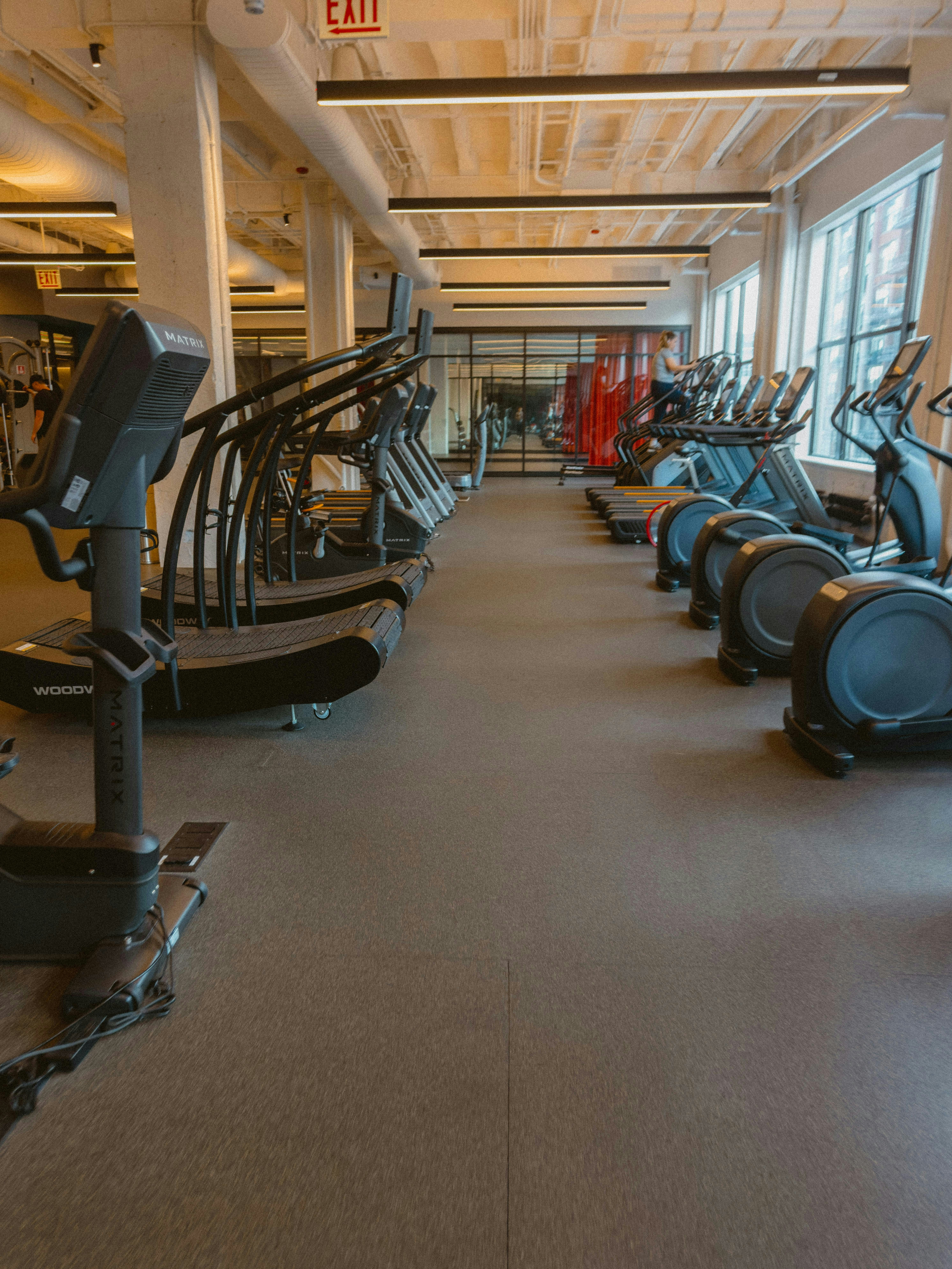 ATLAS strength floor with Hammer Strength and Life Fitness racks among living greenery